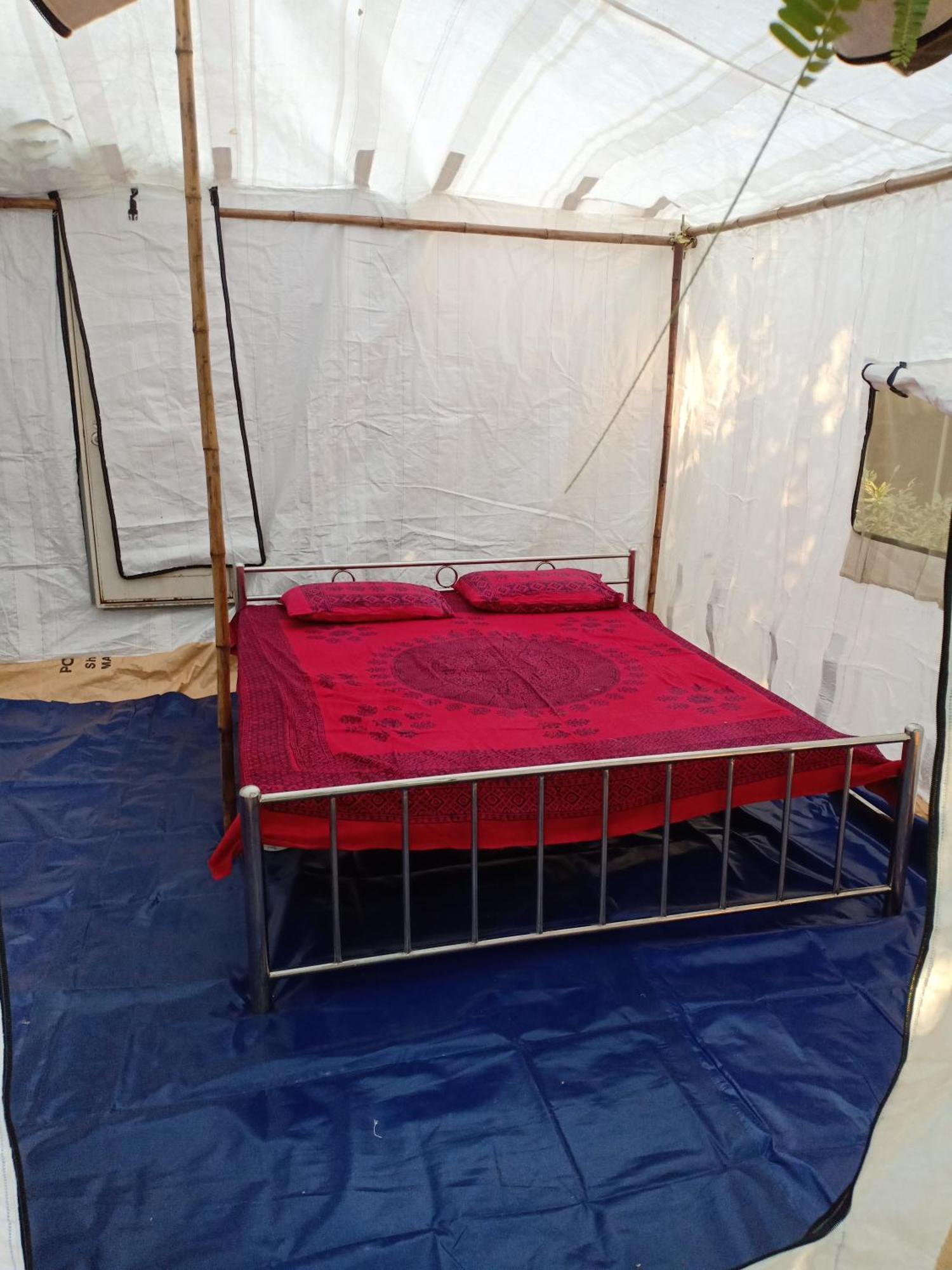 Nature Trail camps&Homestay Jodhpur  Esterno foto