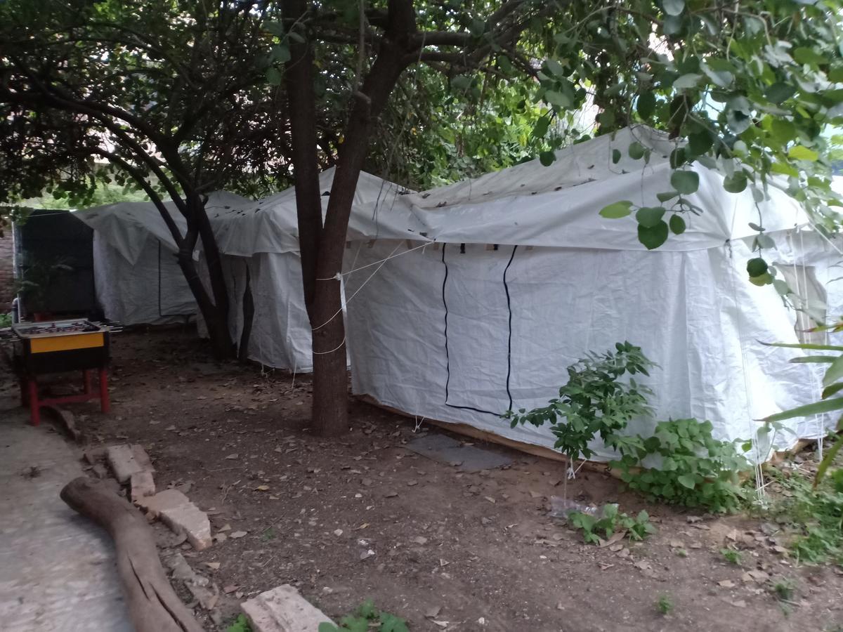 Nature Trail camps&Homestay Jodhpur  Esterno foto