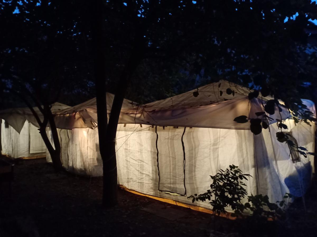 Nature Trail camps&Homestay Jodhpur  Esterno foto