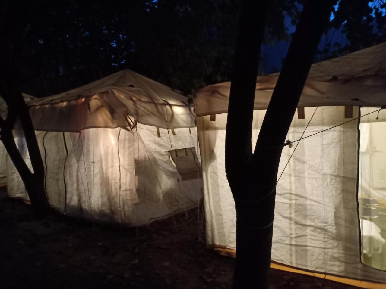 Nature Trail camps&Homestay Jodhpur  Esterno foto