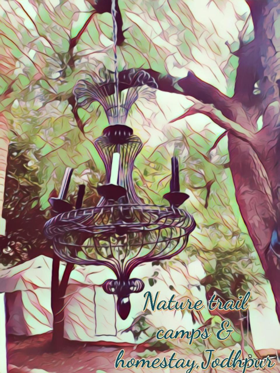 Nature Trail camps&Homestay Jodhpur  Esterno foto