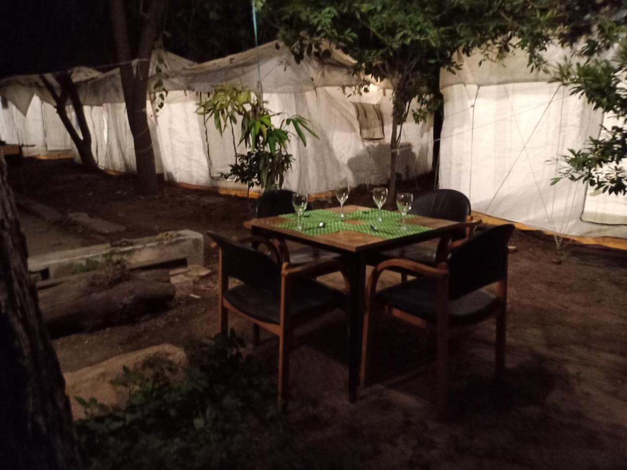 Nature Trail camps&Homestay Jodhpur  Esterno foto